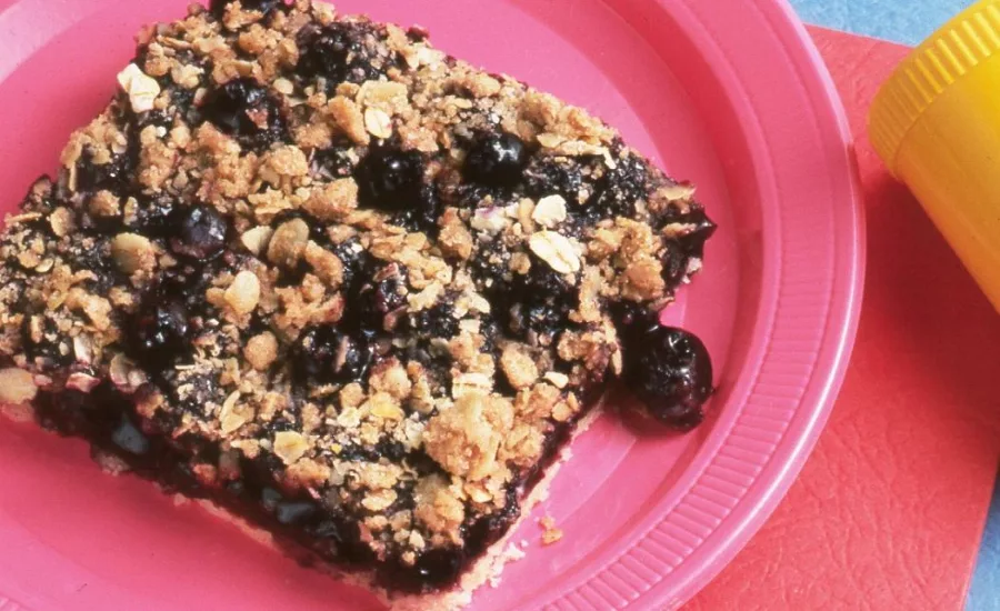 Blue Diamond Almonds blueberry oatmeal bar