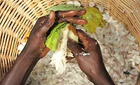 Cocoa hands