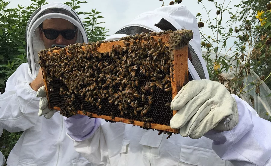 honey_summit1