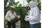 honey_summit2