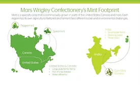 Mars Wrigley AdvanceMint
