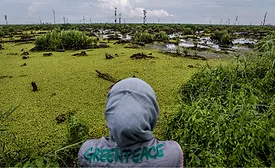 IOI peatland