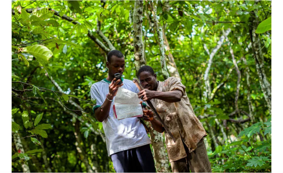 Olam cocoa farmers