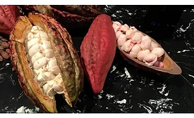Ruby cocoa pod