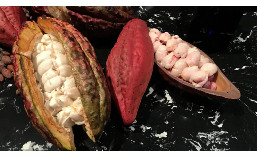 Ruby cocoa pod