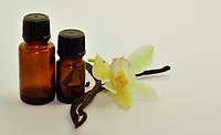 Vanilla bean Vanilla bean
