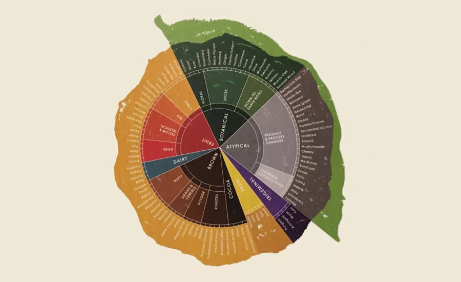 Barry Callebaut flavor wheel