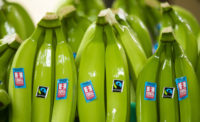 Fairtrade label bananas