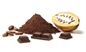 Ritter Sport cocoa