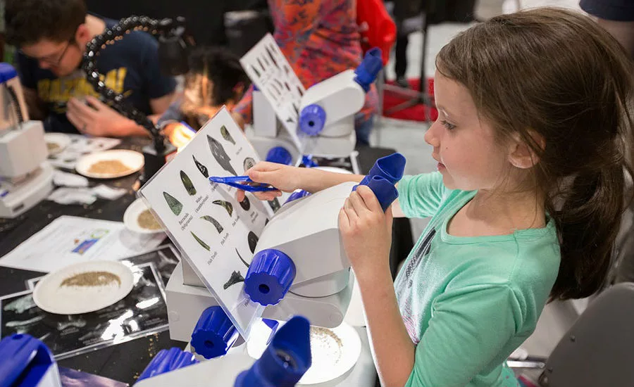 USA Science and Engineering Festival