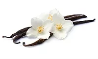 Vanilla stock Vanilla stock
