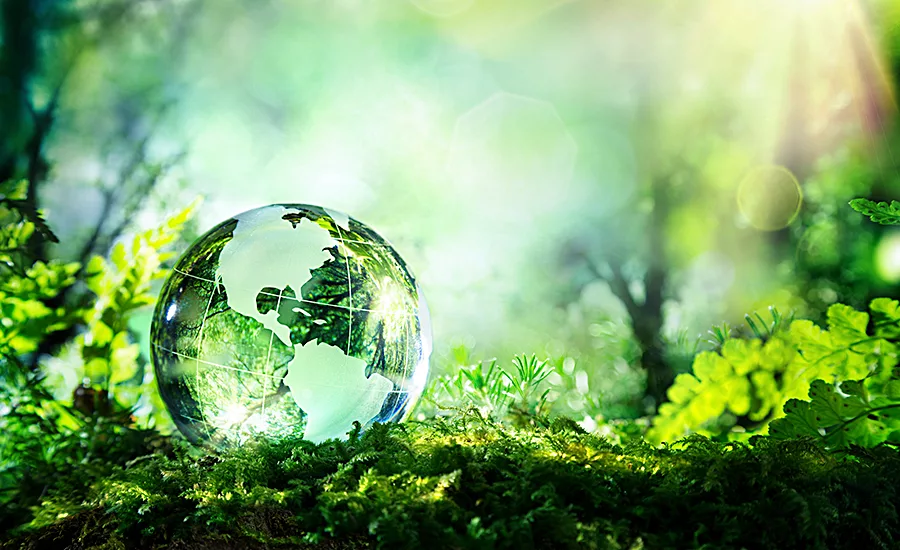 Environment stock