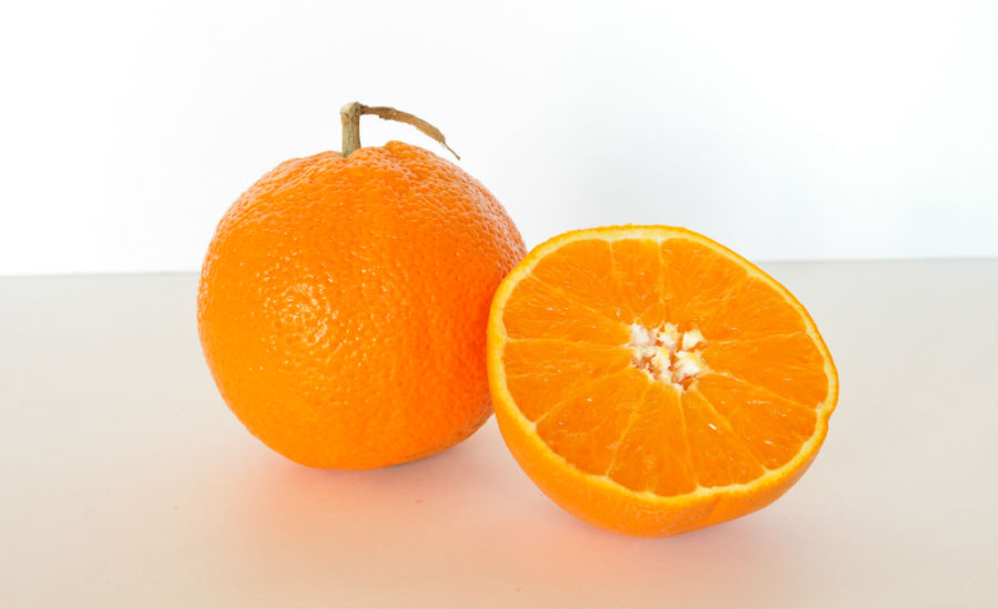 Oranges stock