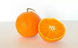 Oranges stock