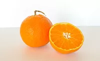 Oranges stock Oranges stock