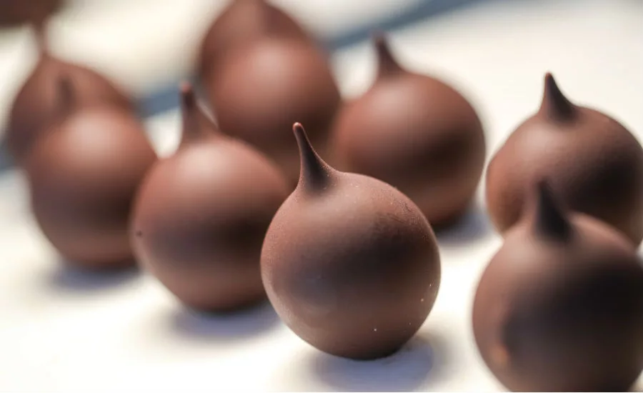 WholeFruit Chocolate 2