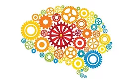 Brain stock