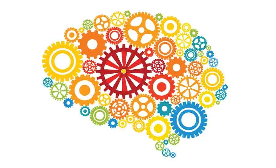 Brain stock