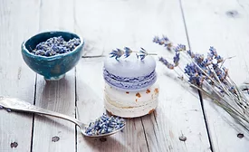 Lavender stock
