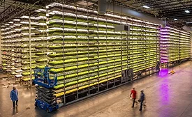 AeroFarms Cargill