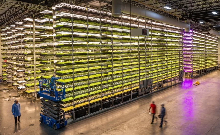 AeroFarms Cargill
