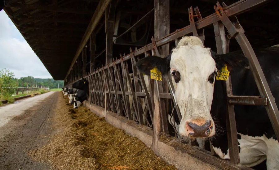 Sustainable Dairy PA