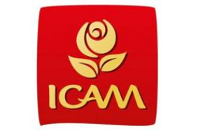 ICAM Spa logo