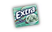 Extra Mint Chocolate Chip 900.jpg