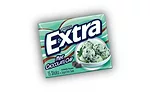 Extra Mint Chocolate Chip 900.jpg