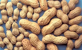 Peanuts