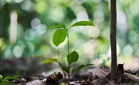 Barry Callebaut climate change