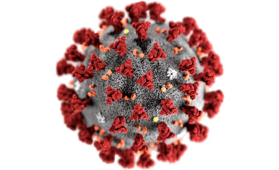 Coronavirus