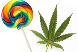 Marijuana vs sugar and candy