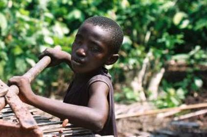 Child labor in cocoa fields
