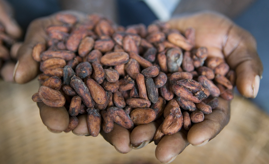 Cargill Cocoa Beans