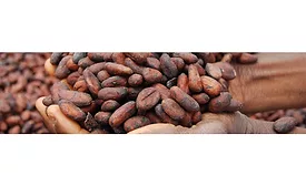 blommer-chocolates-beans-slider-2-900.jpg