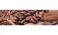 blommer-chocolates-beans-slider-2-900.jpg