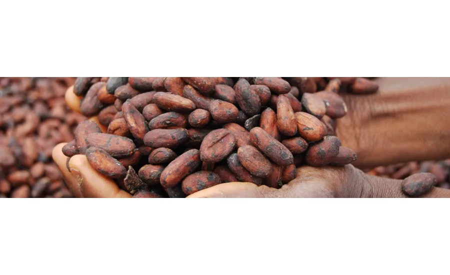 blommer-chocolates-beans-slider-2-900.jpg