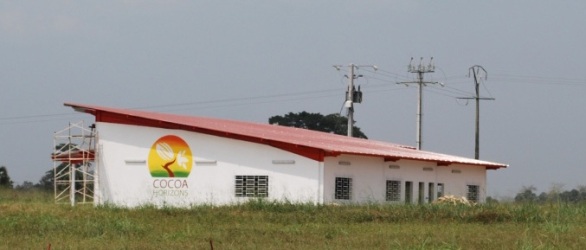Cocoa Center of Excellence