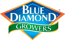 BlueDiamondLogo