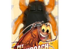Jelly Belly Pet Cockroach