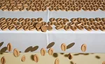 Valrhona