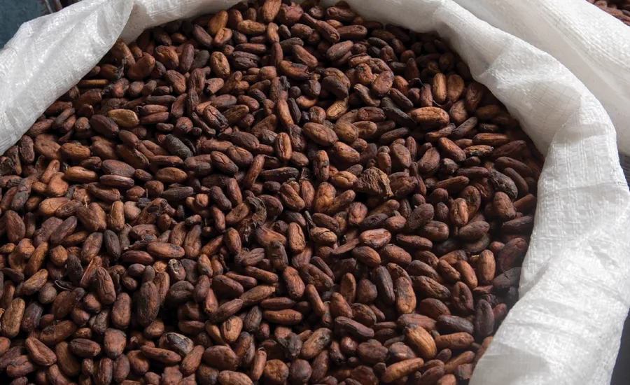 Chocolate ingredient trends