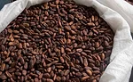 Chocolate ingredient trends