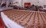 Morley's Candy Co.