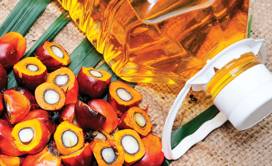 palm oil