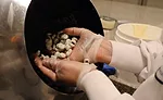 Georgia Nut Co.