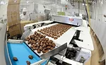 Georgia Nut Co.