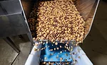 Georgia Nut Co.