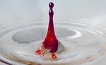 ingredient tech colors